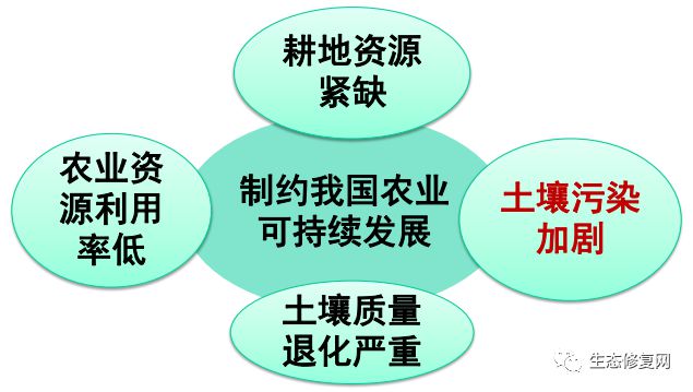 污染土壤修復治理對策與思考——以實踐服務推動生態(tài)安全