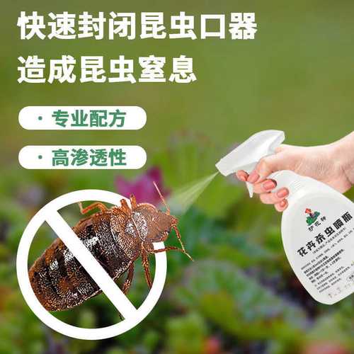 用對“護花神”，巧治家養花卉常見蟲害 蚜蟲、蚧殼蟲與小黑飛全攻略
