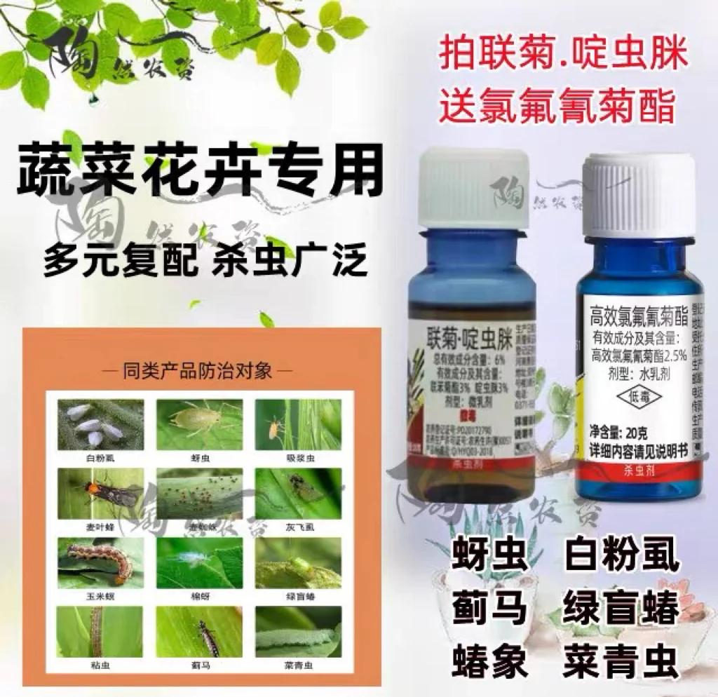 薊馬防治指南 輕松應對植物蟲害！