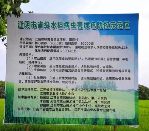 江陰市農(nóng)業(yè)農(nóng)村局 精準(zhǔn)施策，扎實做好水稻穗期病蟲害防治工作