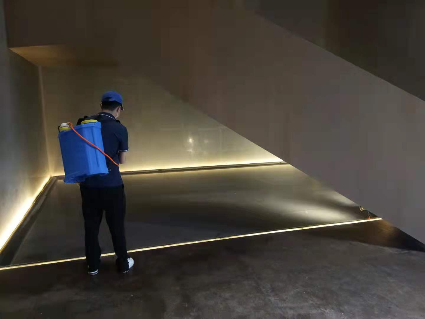 西安白蟻防治 萬徑滅白蟻，穩(wěn)健之力解蟲患