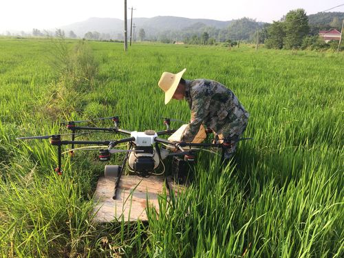 霍山種糧大戶用無(wú)人機(jī)防治蟲害